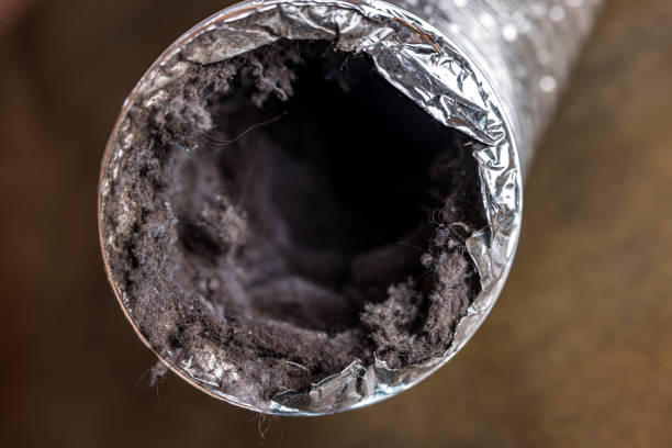 Best Emergency Air Duct Cleaning  in Ardmore, TN