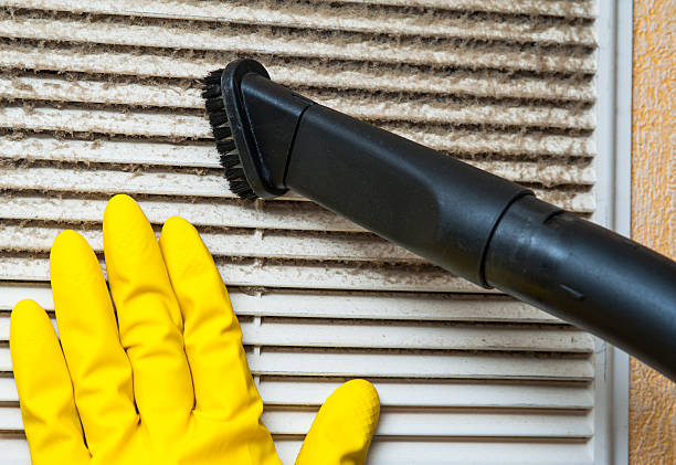 Air Duct Mold Removal in Ardmore, TN